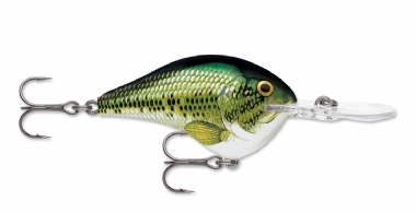 BABY BASS